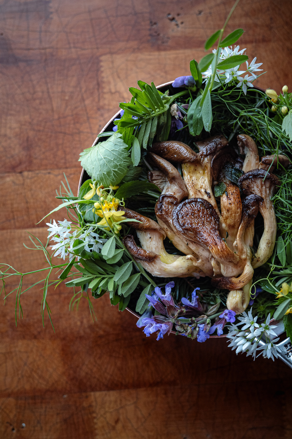 Plat de pleurotes de Alchémille, Restaurant Gastronomique à Kaysersberg