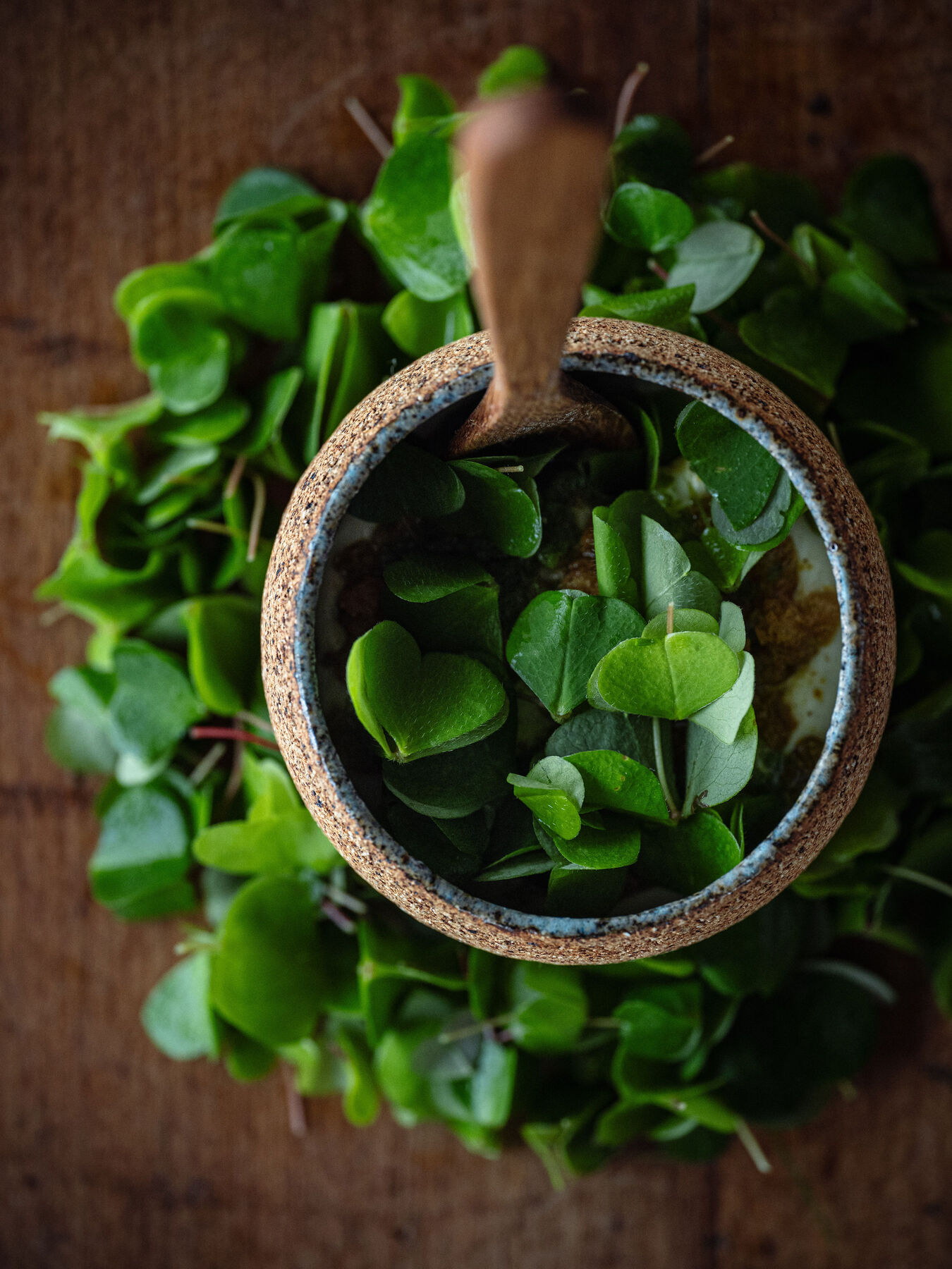 Entrée signature de la maison Alchémille, restaurant 1 étoile proche Colmar
